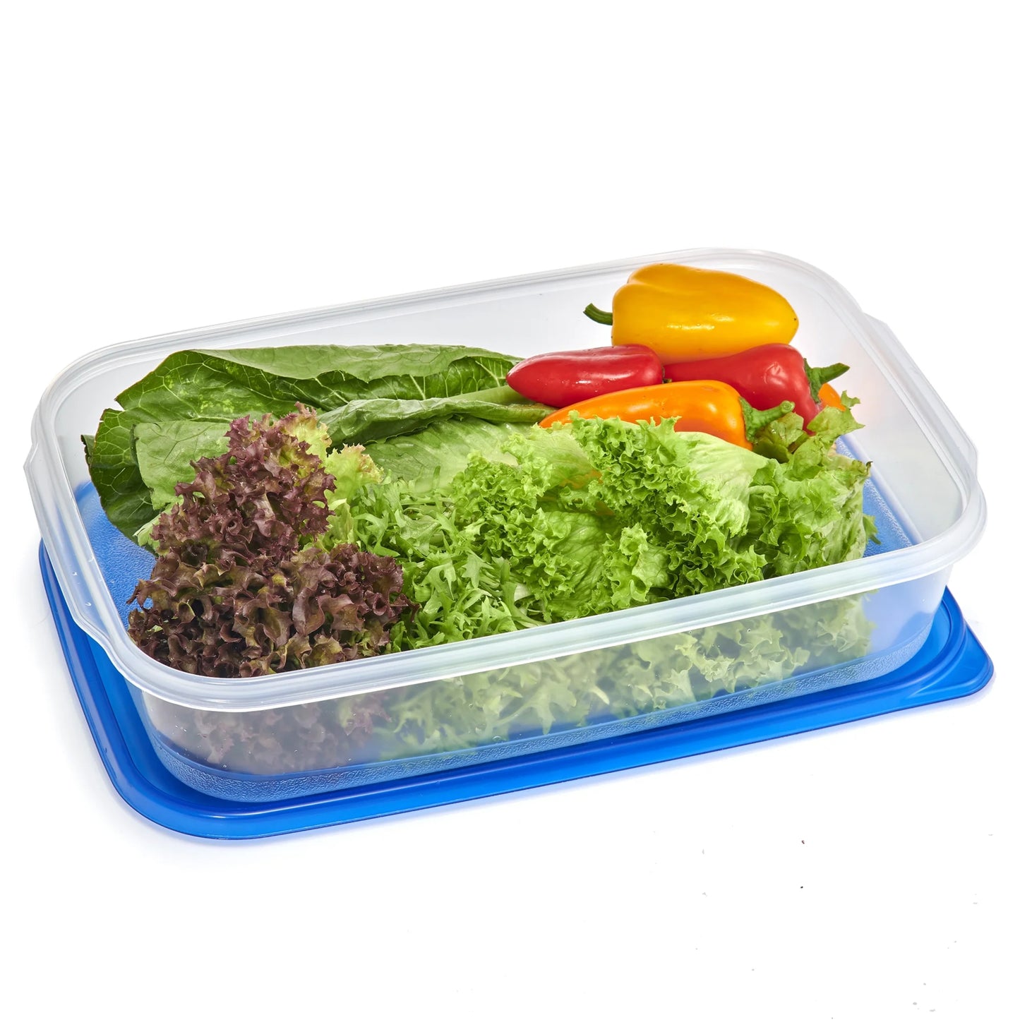 Rectangle 16.6 Cup Plastic Food Storage Container